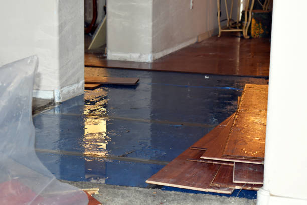 Professional Flood Damage Repair technician working in Bayside, WI